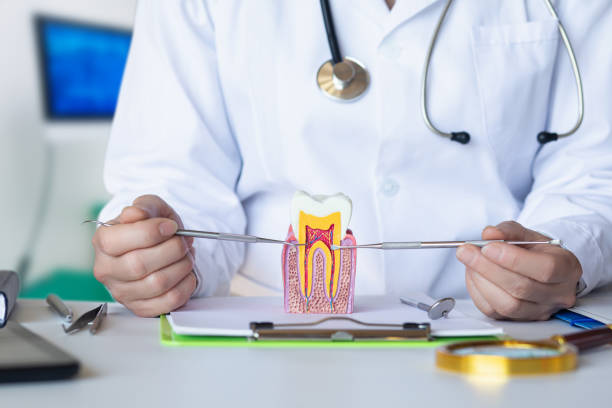 Best Urgent Dental Care for Toothache in Woodville, TX